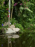 FZ006096 Slimbridge tropical house.jpg